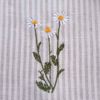 Picture of Kitchen Tea Towel Herbs 47 x 70 cm, Chamomile