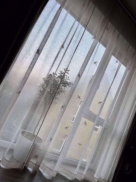 Picture of Curtains in Kaunas modern house