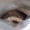 Picture of Japanese black tea, 100gr.