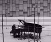 Prekės JAPONIŠKAS VAKARAS: „Ryuichi Sakamoto | Opusas“ + arbatų degustacija nuotrauka